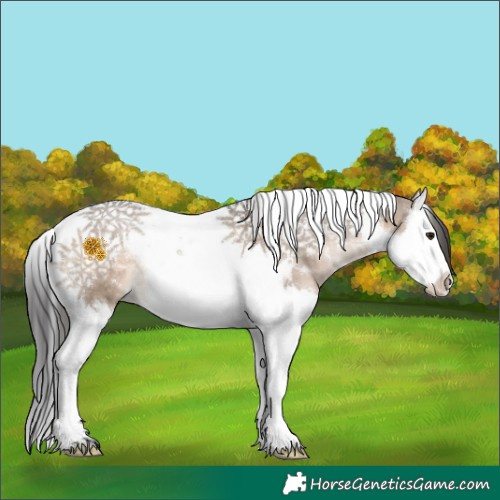 Horse Color:Brown Dun Splash Tobiano 