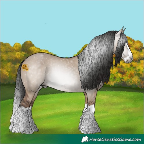 Horse Color:Gray Liver Red Dun Splash 