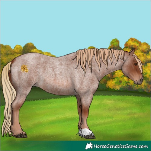 Horse Color:Red Roan 