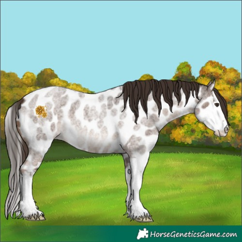 Horse Color:Liver Red Roan Splash Leopard 