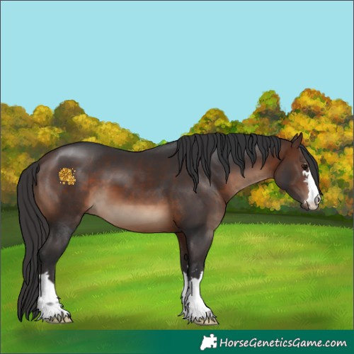 Horse Color:Brown 