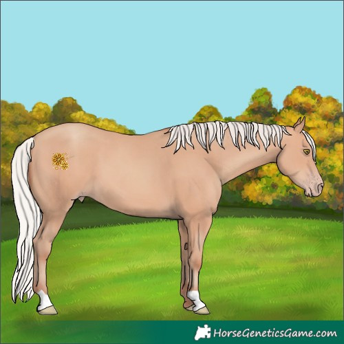 Horse Color:Silver Amber Champagne 