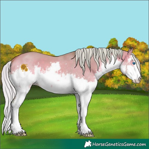 Horse Color:Watercolor White Spotted Chocolate Silver Brown Dun Splash 