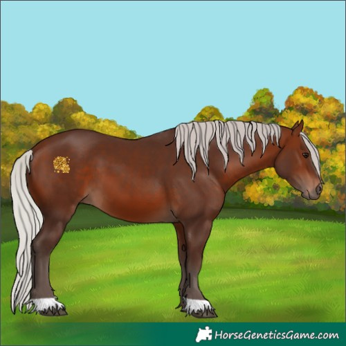 Horse Color:Silver Brown 