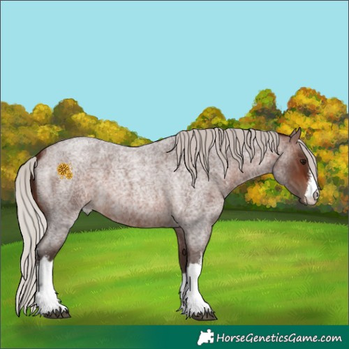 Horse Color:White Spotted Silver Brown Roan 