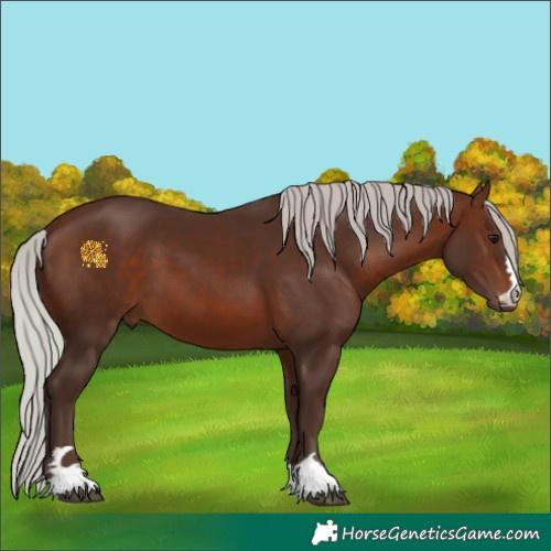 Horse Color:Silver Brown 