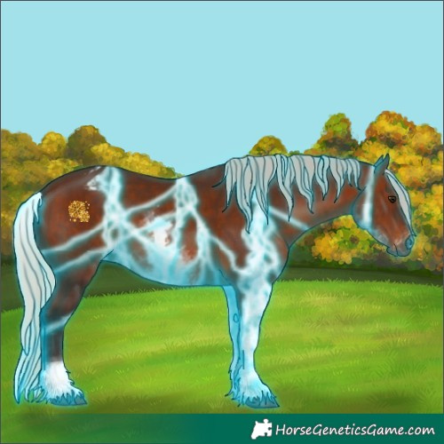 Horse Color:Gray Thunderstruck White Spotted Silver Bay Appaloosa 