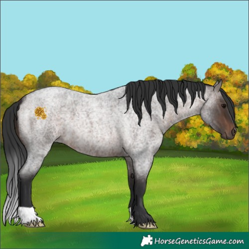 Horse Color:Brown Roan 