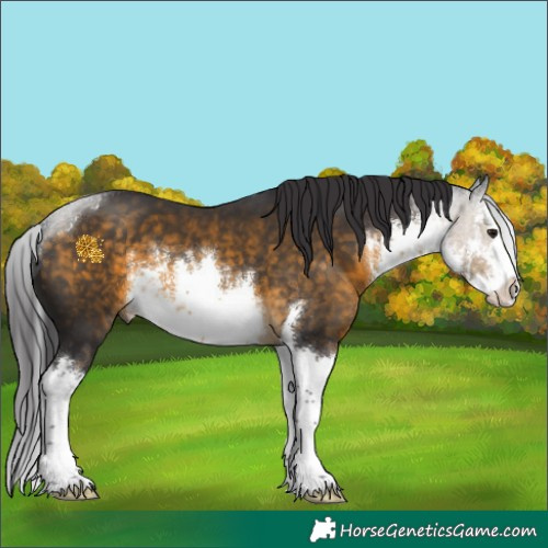 Horse Color:White Spotted Buckskin Splash 