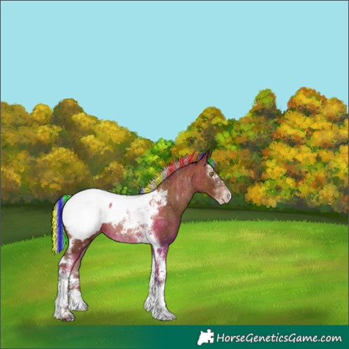 Horse Color:Gray Painted Silver Classic Champagne Splash Tobiano Appaloosa Rabicano 