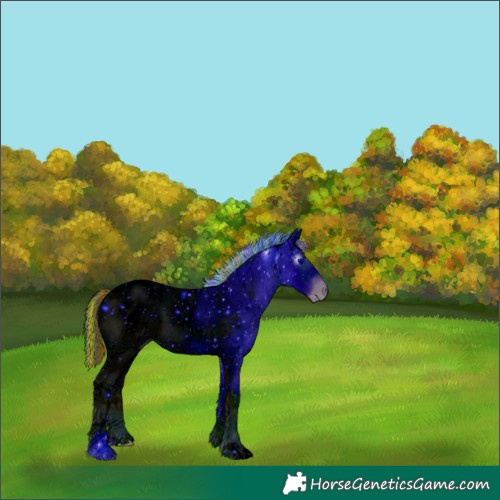 Horse Color:ERROR: UNKNOWN ANOMALY