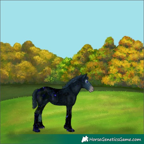 Horse Color:ERROR: UNKNOWN ANOMALY