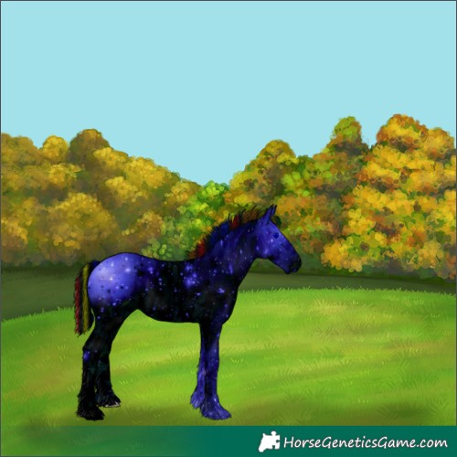 Horse Color:ERROR: UNKNOWN ANOMALY