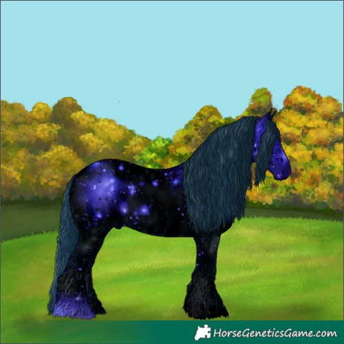Horse Color:ERROR: UNKNOWN ANOMALY