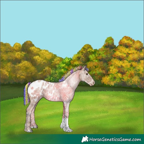Horse Color:Painted Silver Black Ice Pearl Tobiano Appaloosa Rabicano 