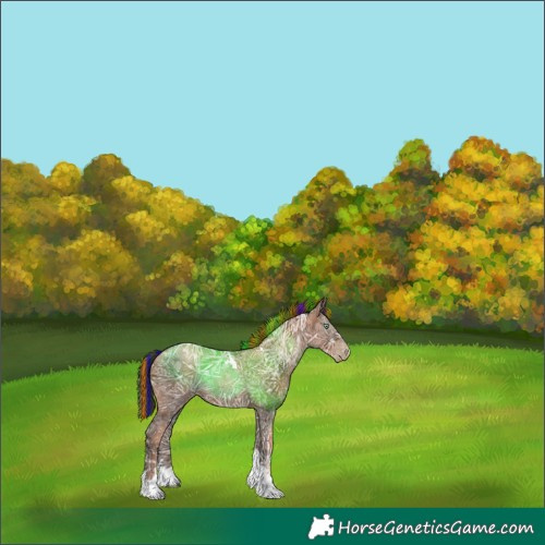 Horse Color:Gray Painted Liver Chestnut Ice Pearl Tobiano Rabicano 