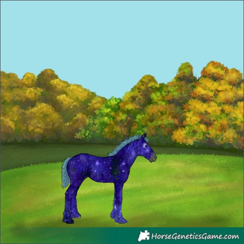 Horse Color:ERROR: UNKNOWN ANOMALY
