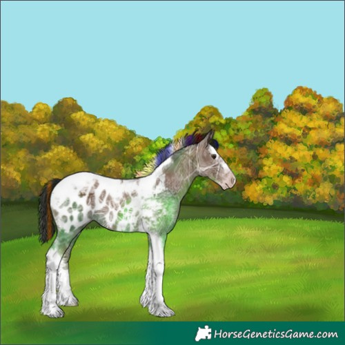 Horse Color:Gray Painted Classic Champagne Ice Splash Tobiano Appaloosa Rabicano 