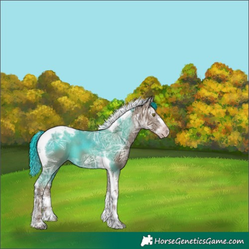 Horse Color:Gray Classic Champagne Ice Splash Tobiano Appaloosa 