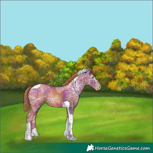 Horse Color:Gray Gold Champagne Ice Tobiano Varnish Rabicano 