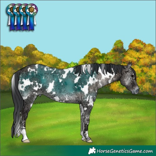 Horse Color:Platinum White Spotted Grullo Ice Onyx 
