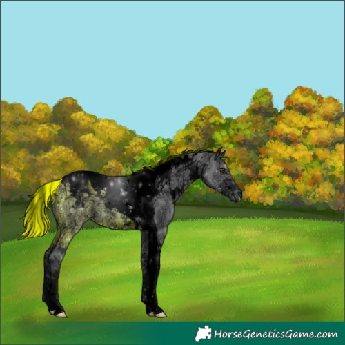 Horse Color:Void Painted White Spotted Grullo Chinchilla Ice Tobiano