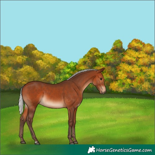 Horse Color:Silver Brown 