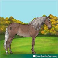 Horse Color:Silver Black 