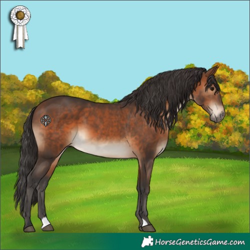 Horse Color:Brown 