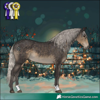 Horse Color:Silver Smoky Black 