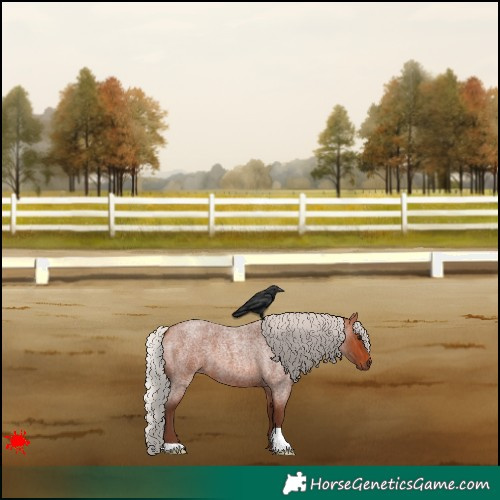 Horse Color:Silver Bay Roan 