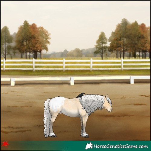 Horse Color:Silver Buckskin Roan Snowcap 