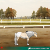 Horse Color:Silver Buckskin Roan Snowcap 
