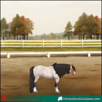 Horse Color:Bay Roan 