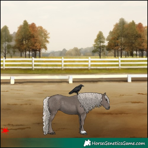 Horse Color:Silver Black 