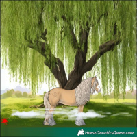 Horse Color:Palomino Dun 