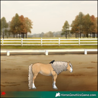 Horse Color:Palomino Dun 