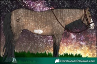 Horse Color:Brown Dun  and Brown Dun Frame 