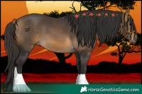 Horse Color:Buckskin Tobiano 
