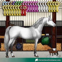 Horse Color:Gray Black 