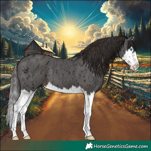 Horse Color:Liver Chestnut Ice Sabino Splash 