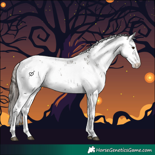 Horse Color:Liver Chestnut Ice Sabino