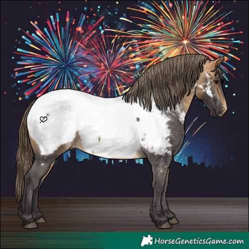Horse Color:Buckskin Appaloosa 