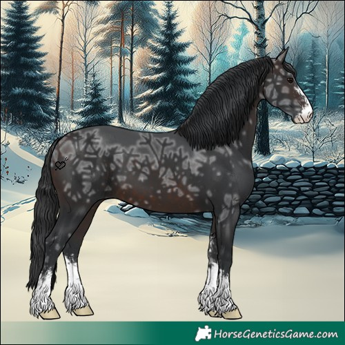 Horse Color:Brown Ice Sabino 