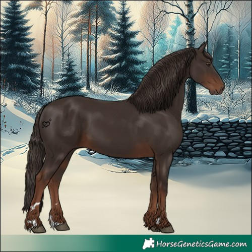 Horse Color:Liver Chestnut 