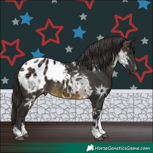 Horse Color:Buckskin Ice Tobiano Appaloosa 