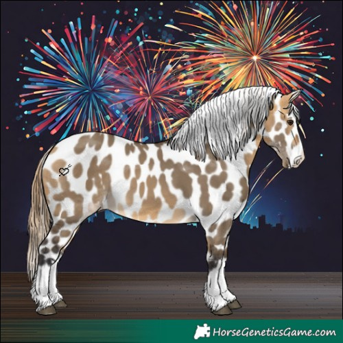Horse Color:Buckskin Dun Splash Appaloosa 