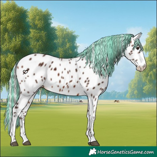 Horse Color:Painted Silver Brown Appaloosa 