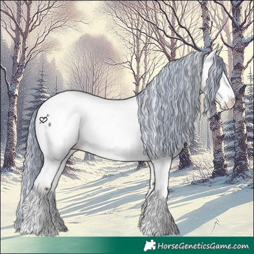 Horse Color:Painted Silver Black Appaloosa