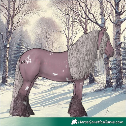Horse Color:Watercolor White Spotted Silver Grullo